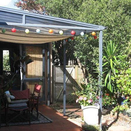 וונגאמאטה Kotuku Bed & Breakfast מראה חיצוני תמונה